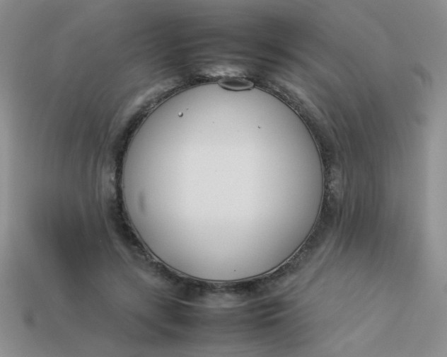 X0000113890547200910151337