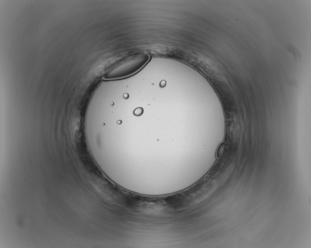X0000113890548200910151337