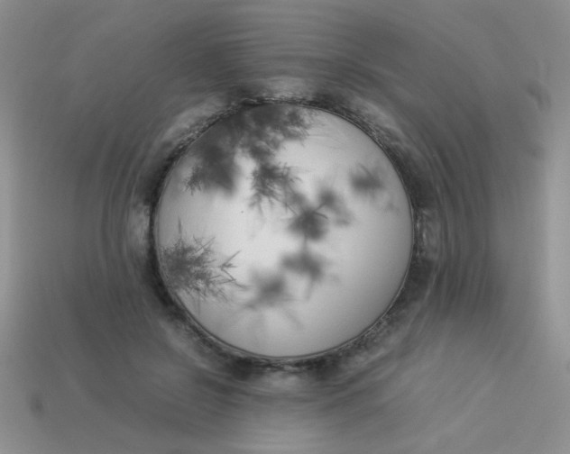 X0000113890550200910151337