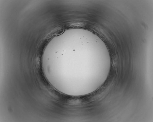 X0000113890551200910151337