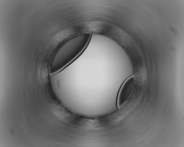 X0000113890552200910151337
