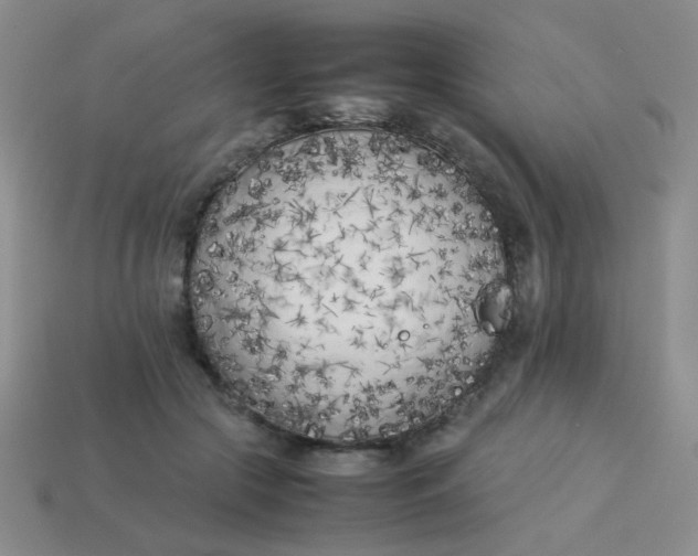 X0000113890553200910151337