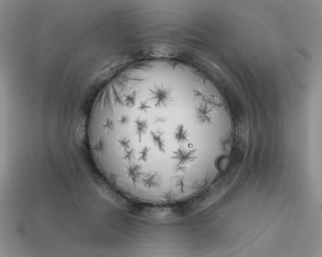 X0000113890554200910151337
