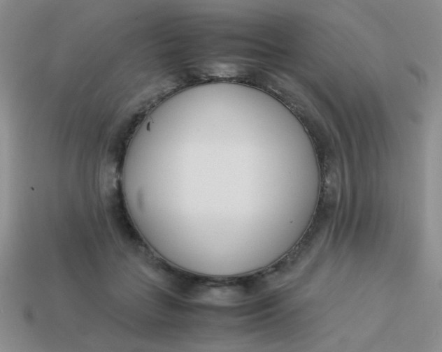 X0000113890555200910151337