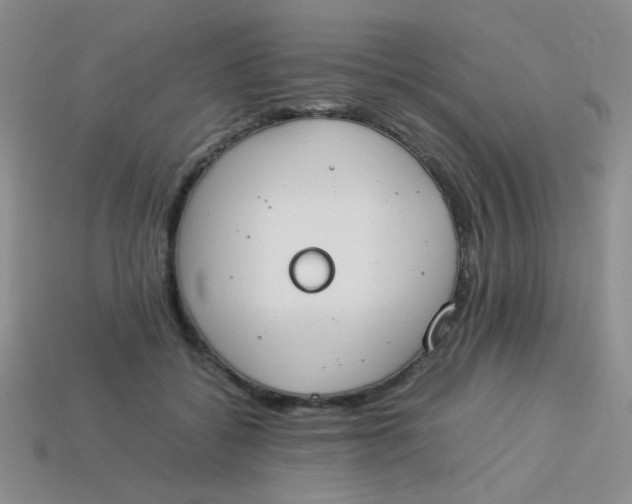 X0000113890556200910151337