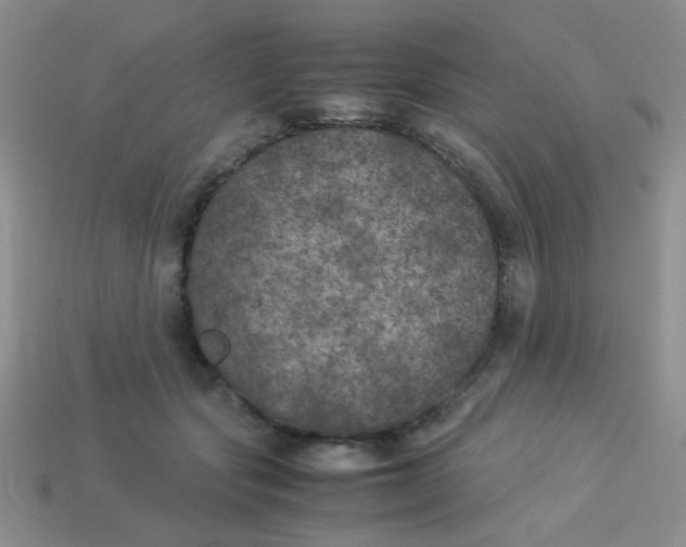 X0000113890557200910151337