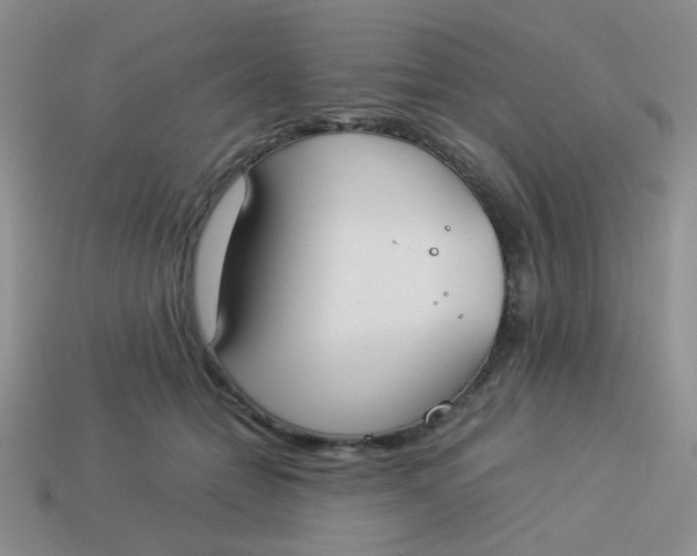 X0000113890558200910151337