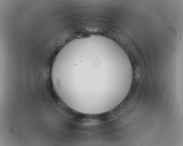 X0000113890559200910151337