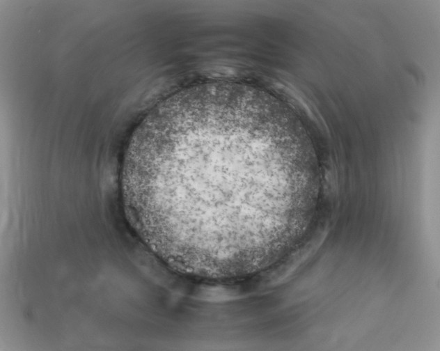 X0000113890561200910151337