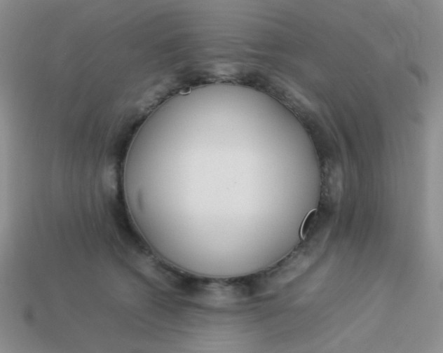 X0000113890562200910151337