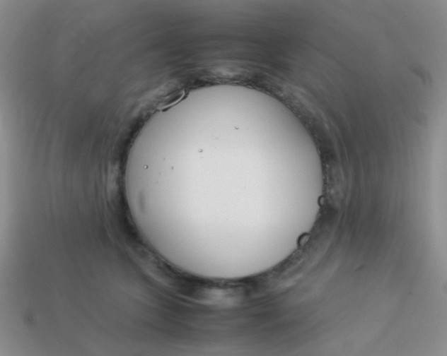 X0000113890563200910151337