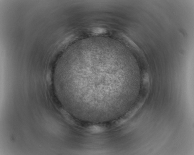 X0000113890565200910151337