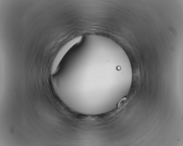 X0000113890566200910151337