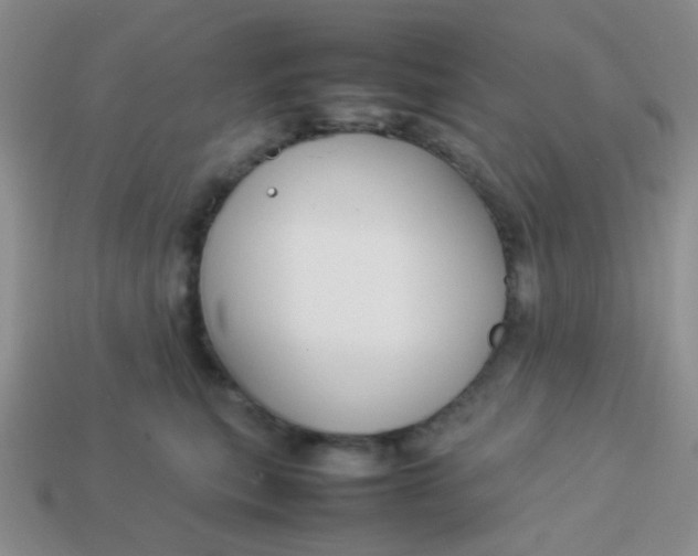 X0000113890567200910151337