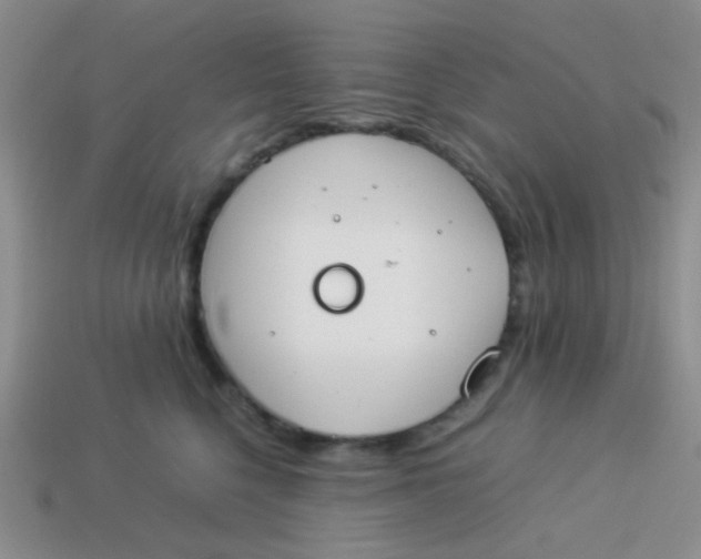 X0000113890568200910151337