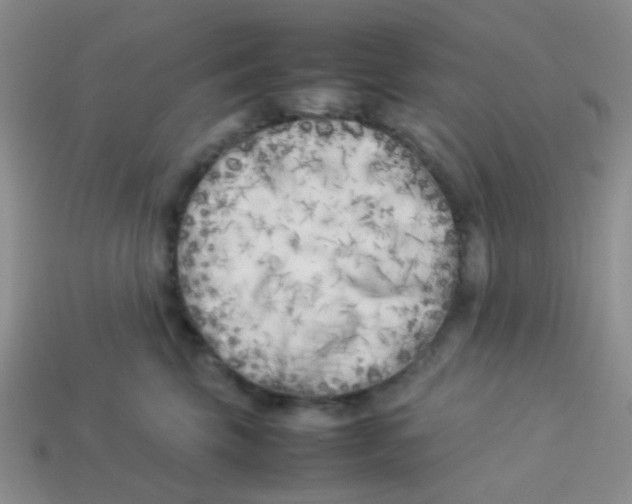 X0000113890569200910151337