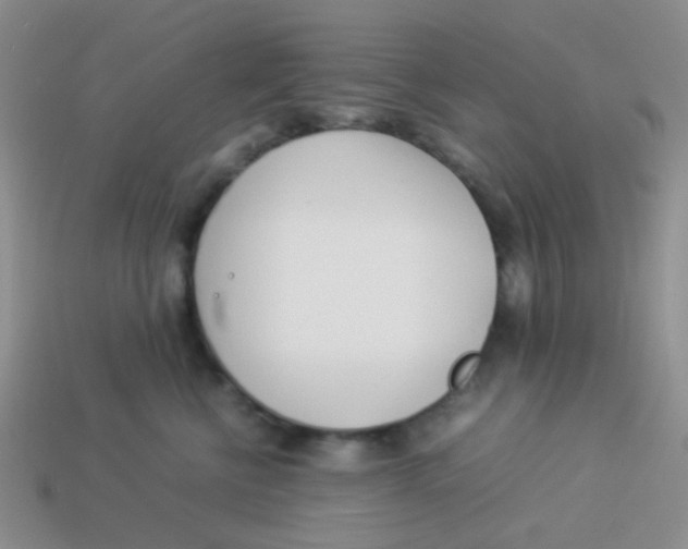 X0000113890570200910151337