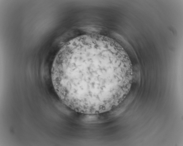 X0000113890573200910151337