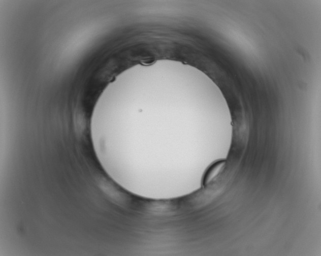 X0000113890574200910151337