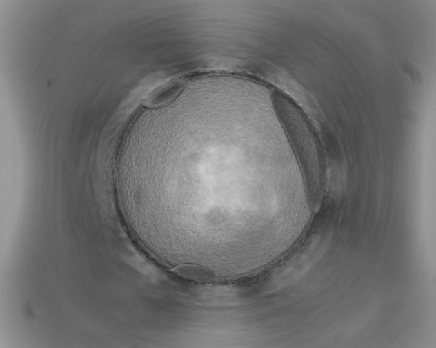 X0000113890577200910151337