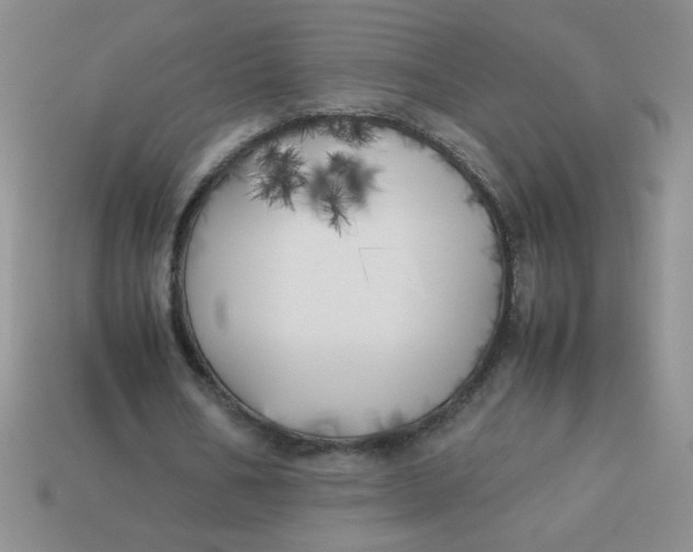X0000113890578200910151337