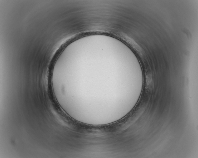 X0000113890580200910151337