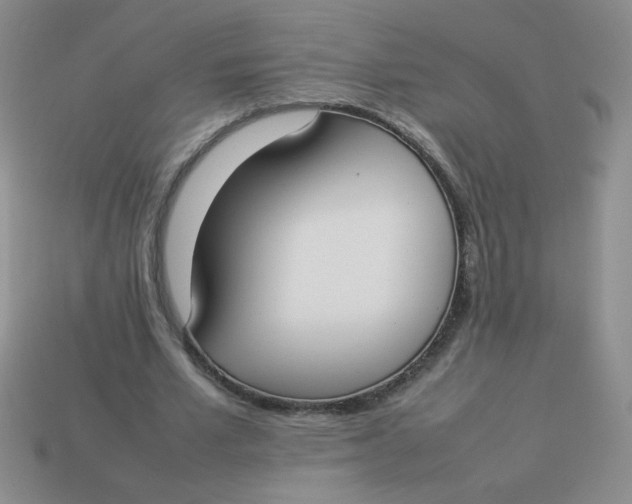 X0000113890581200910151337
