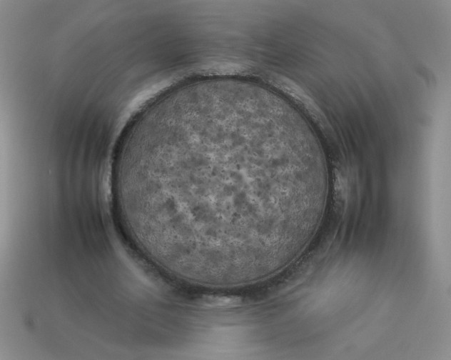 X0000113890582200910151337