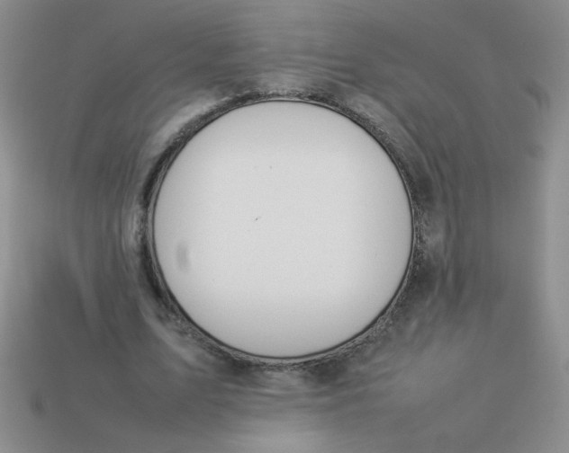 X0000113890583200910151336