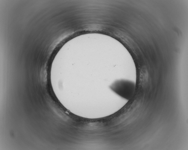 X0000113890584200910151336