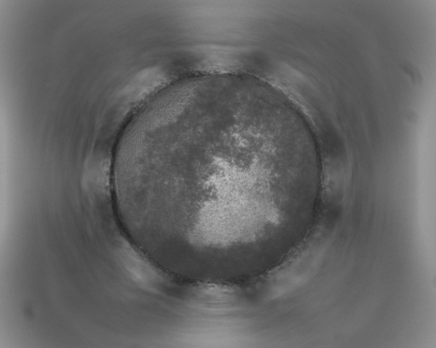X0000113890585200910151336