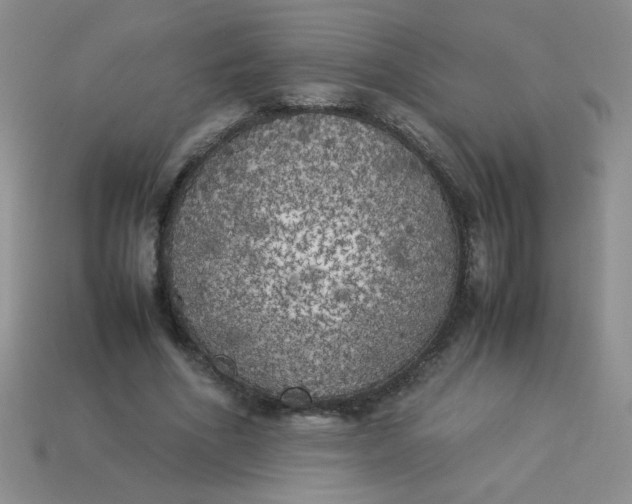 X0000113890586200910151336