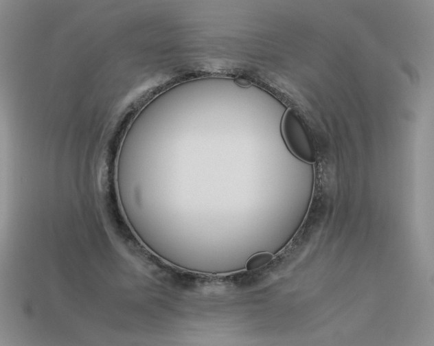 X0000113890587200910151336