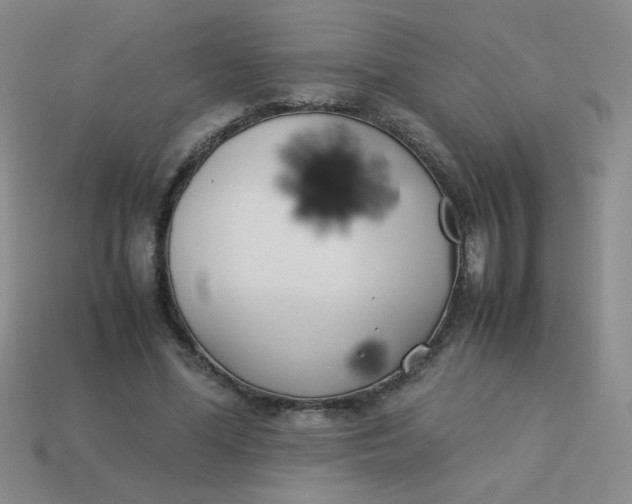 X0000113890588200910151336