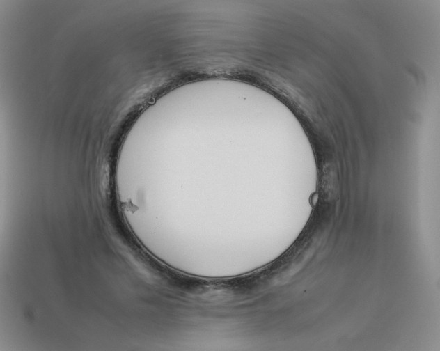 X0000113890589200910151336