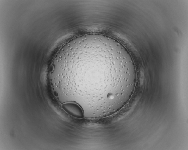 X0000113890590200910151336