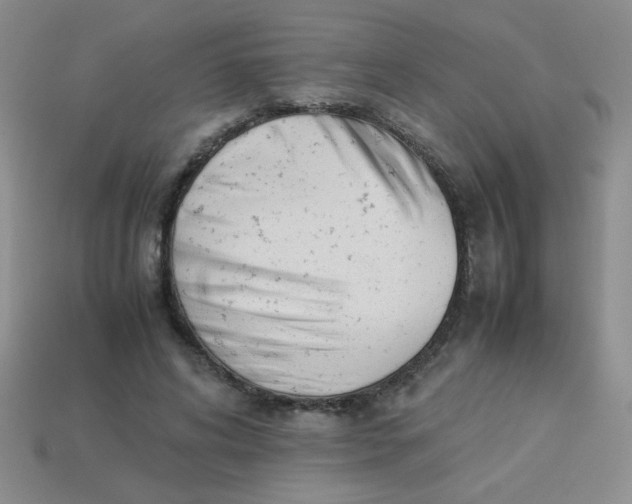 X0000113890592200910151336