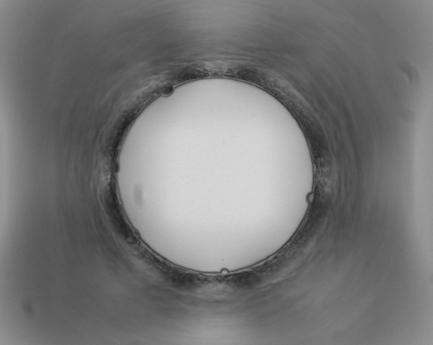 X0000113890593200910151336