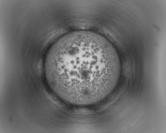 X0000113890594200910151336