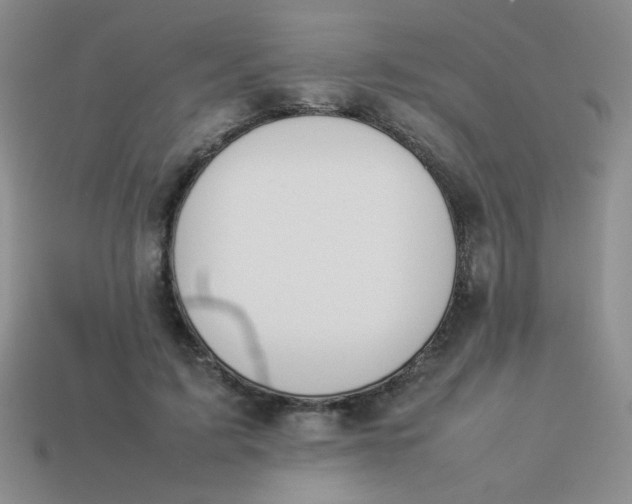 X0000113890595200910151336
