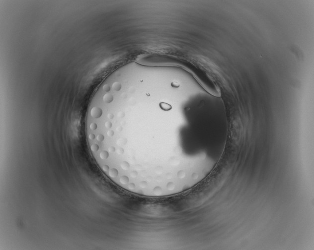 X0000113890596200910151336