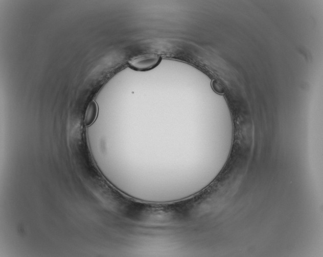 X0000113890597200910151336
