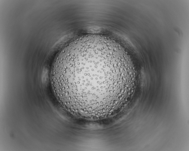 X0000113890598200910151336