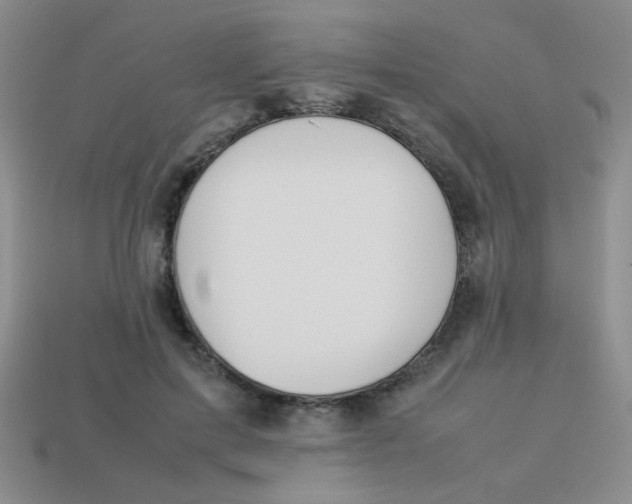 X0000113890599200910151336