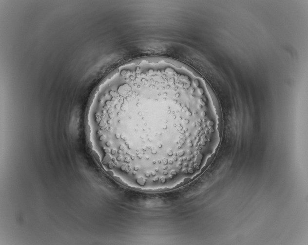 X0000113890600200910151336