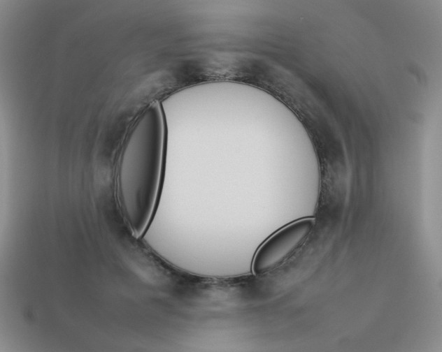 X0000113890601200910151336