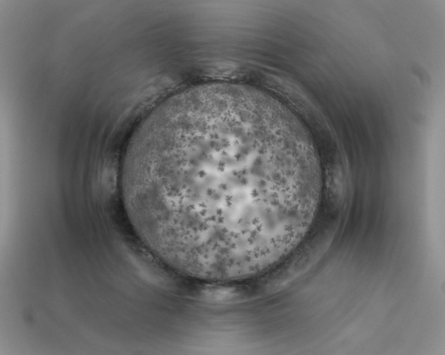 X0000113890602200910151336