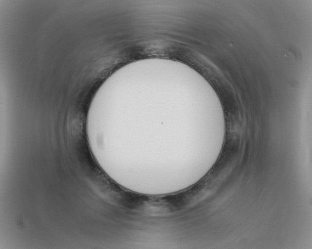X0000113890603200910151336