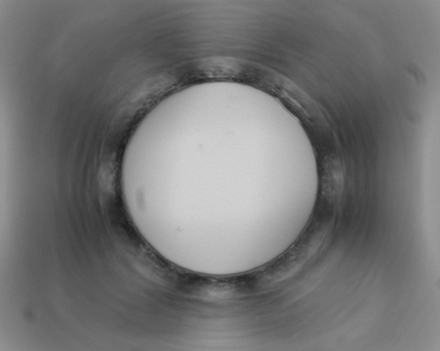 X0000113890604200910151336