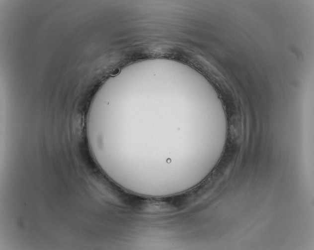X0000113890605200910151336